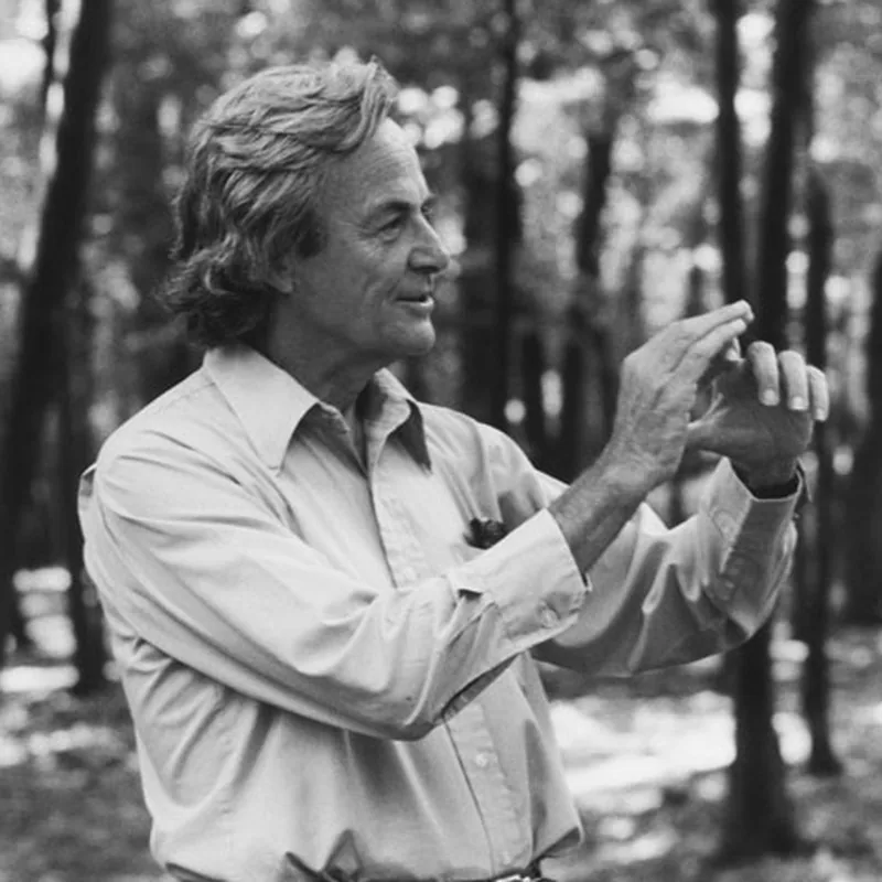 Richard Feynman | The form is perfect and no airplanes land