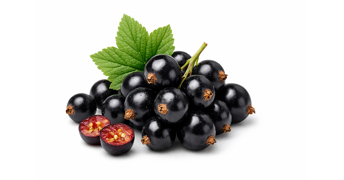 CACIS – geometry of regret for classification